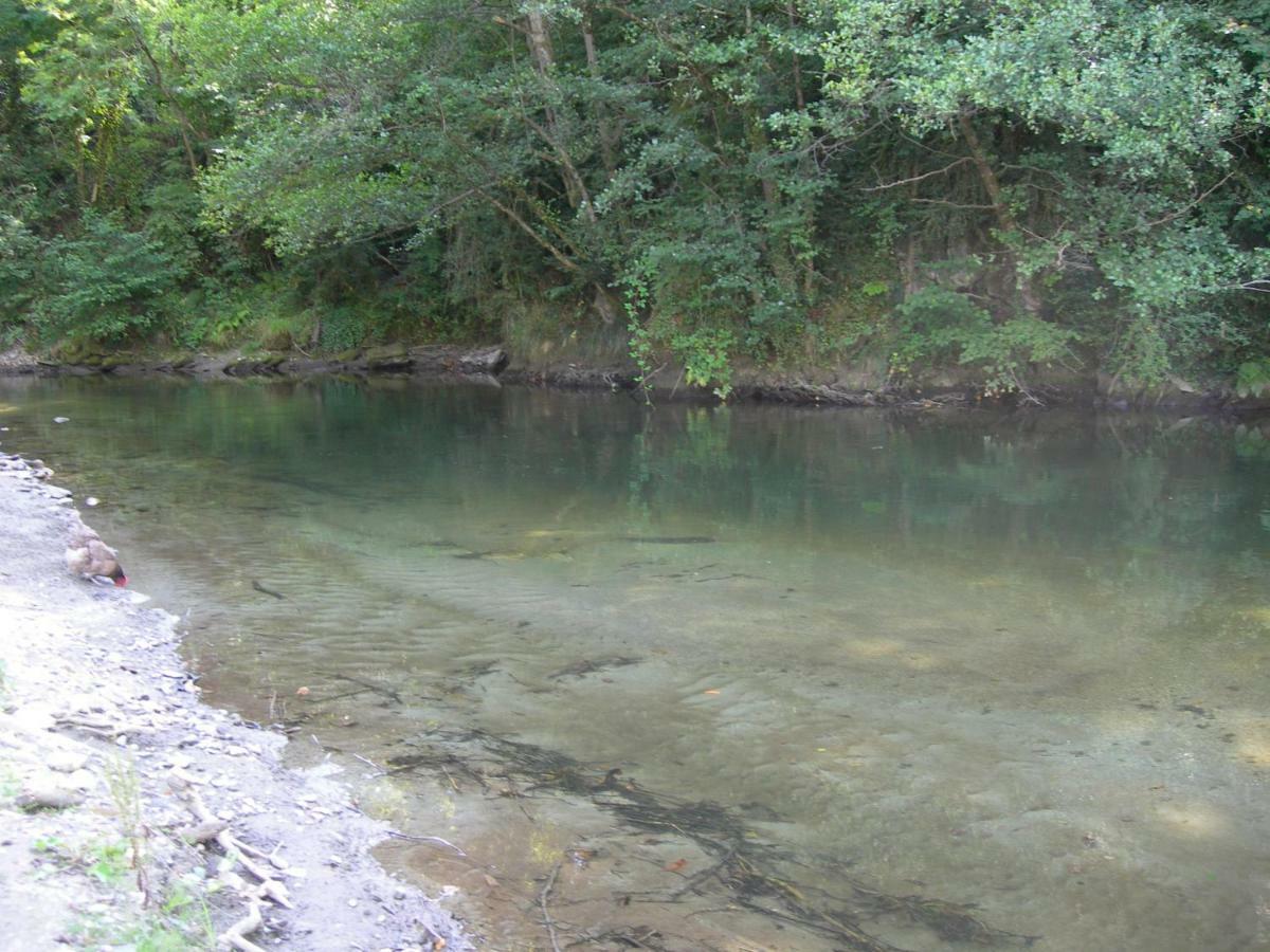 Appartement Les Rives De L'Ariege Luzenac Luaran gambar